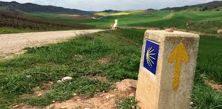 camino