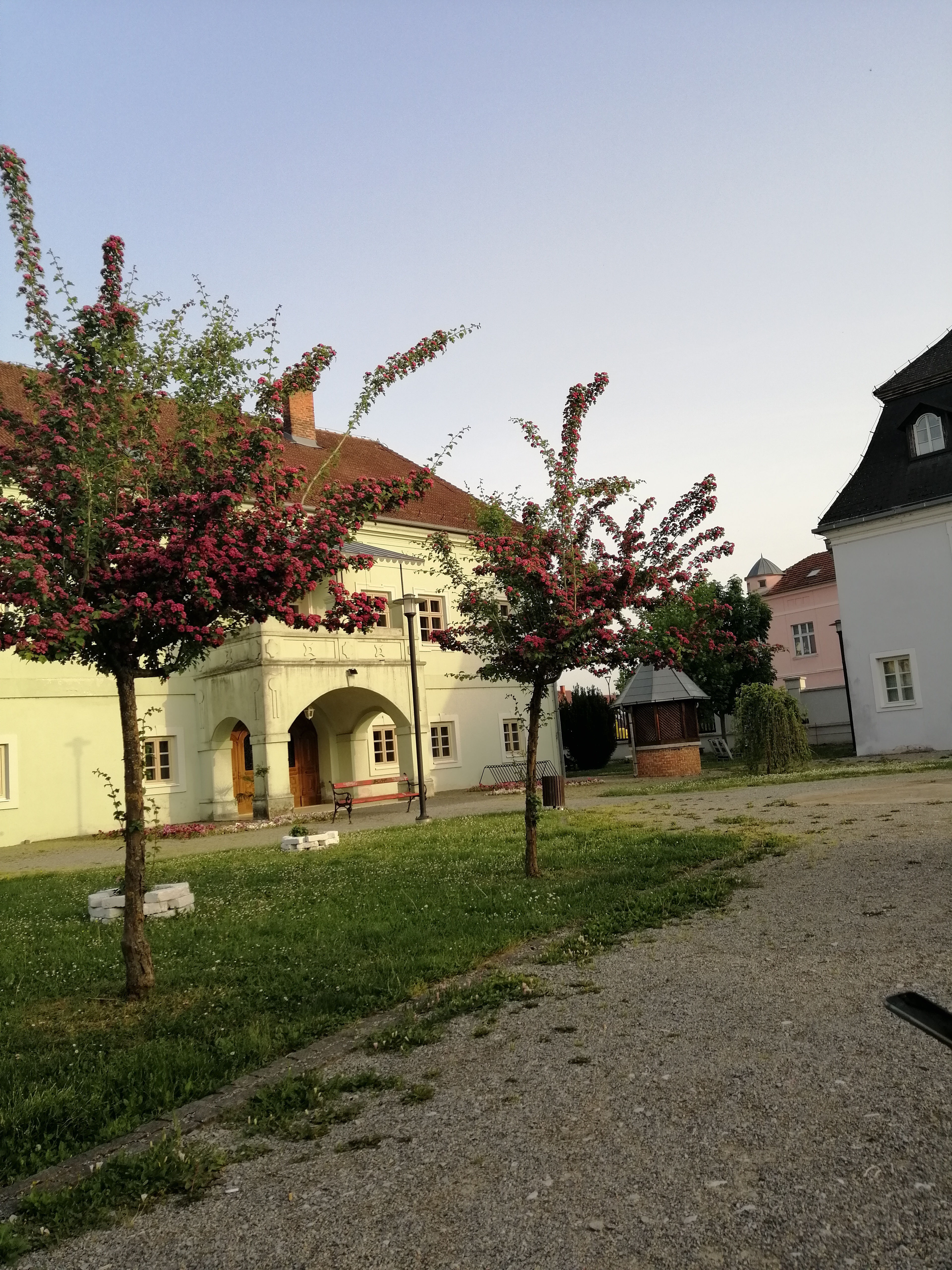 pakrac2