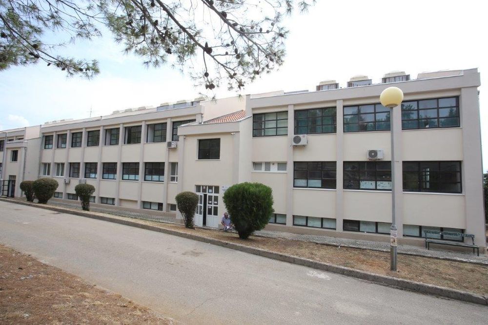 skola