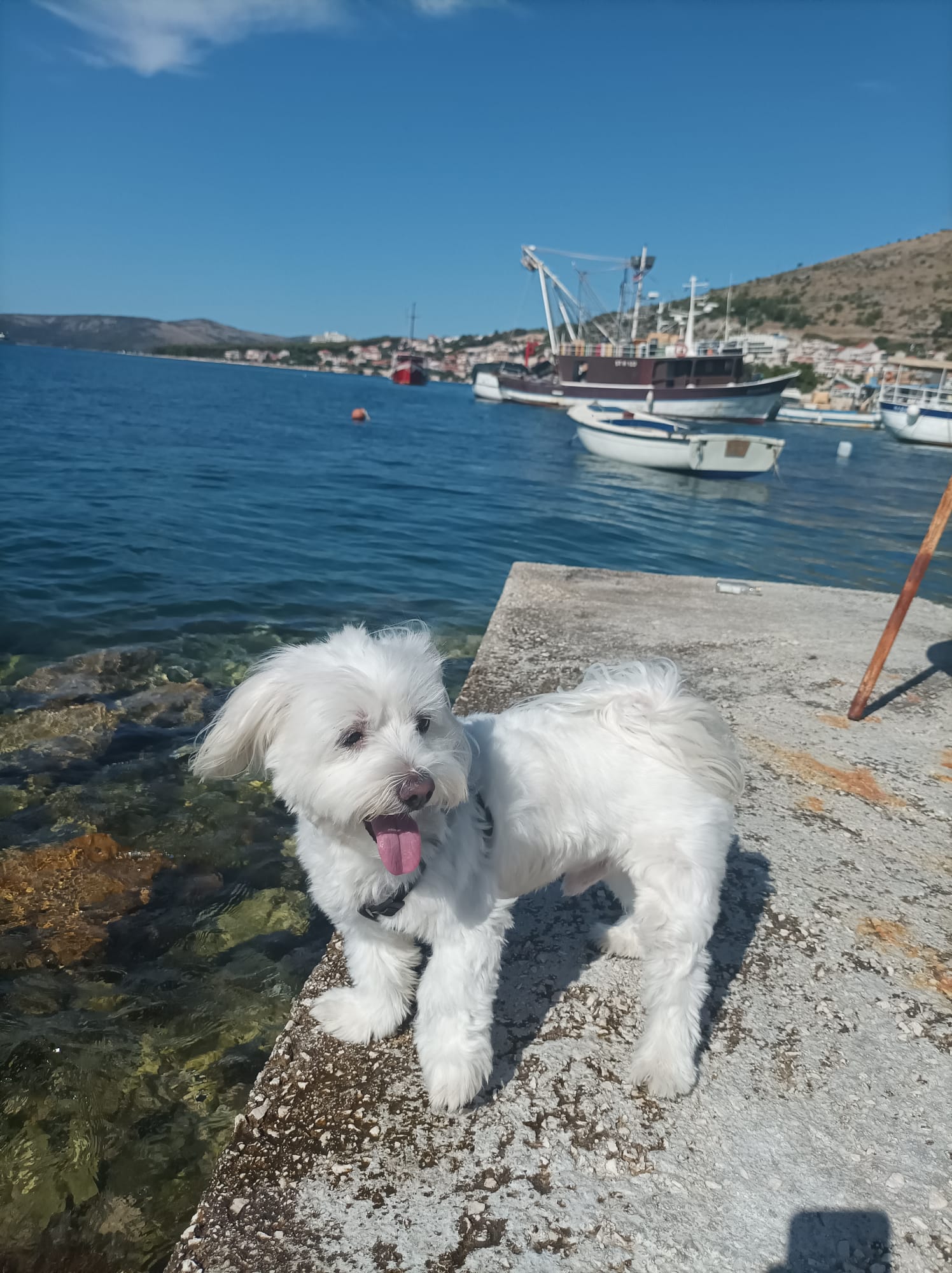 roko