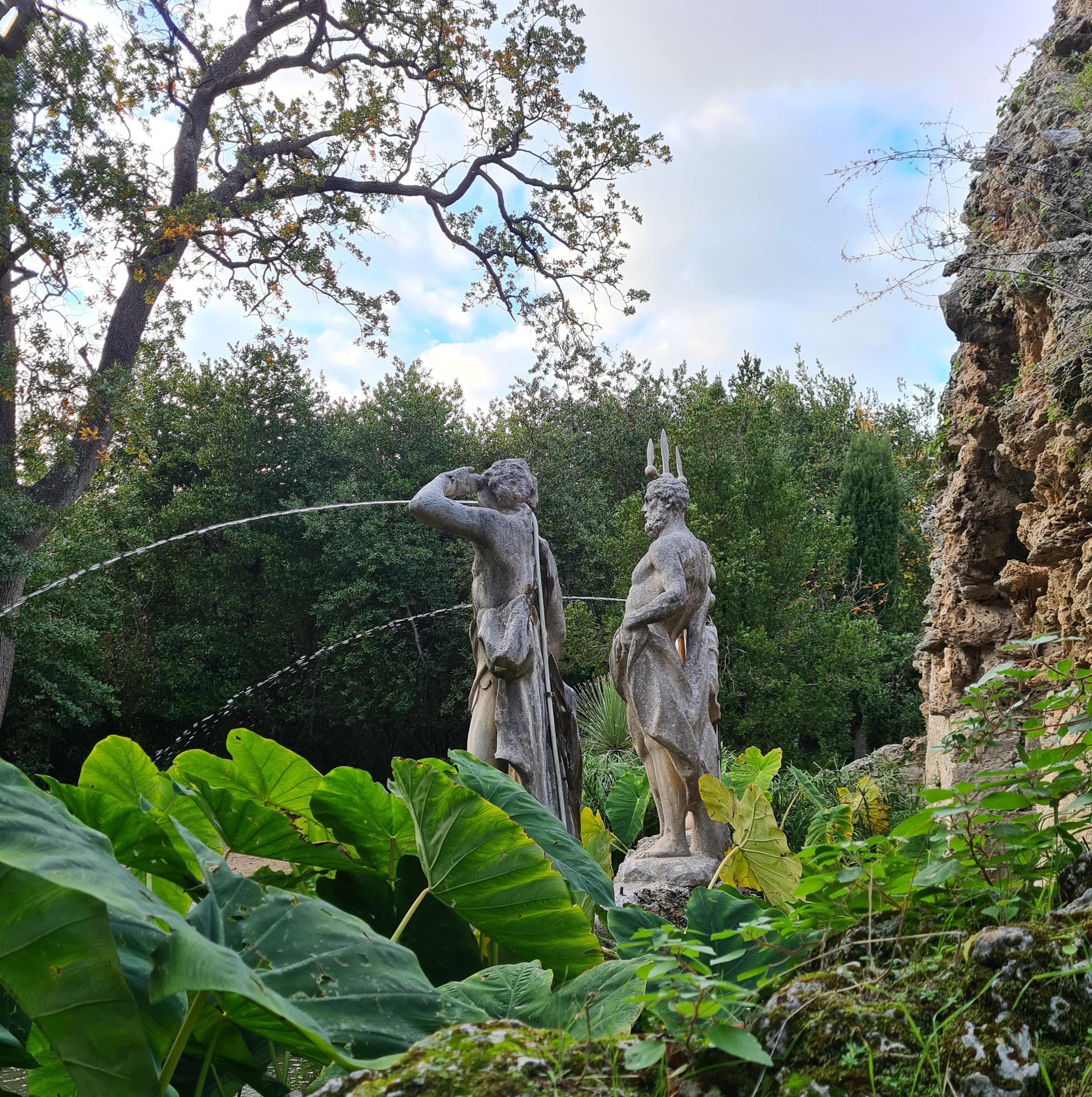 arboretum
