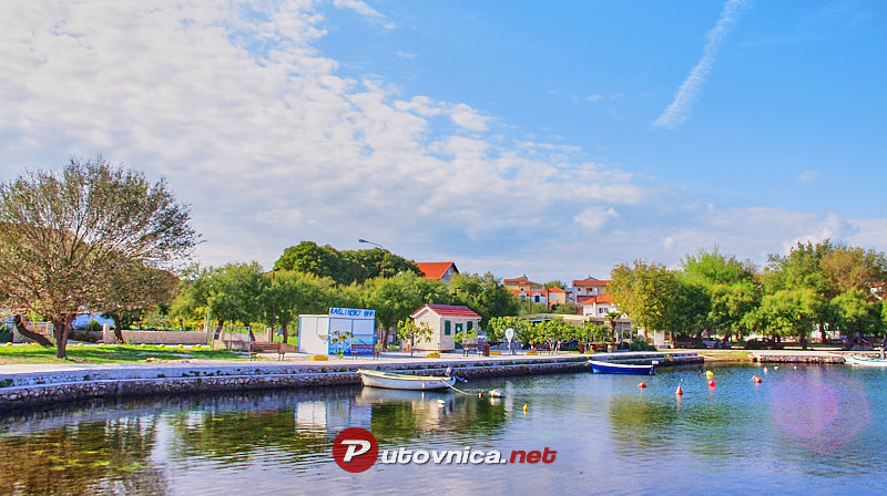 raslina