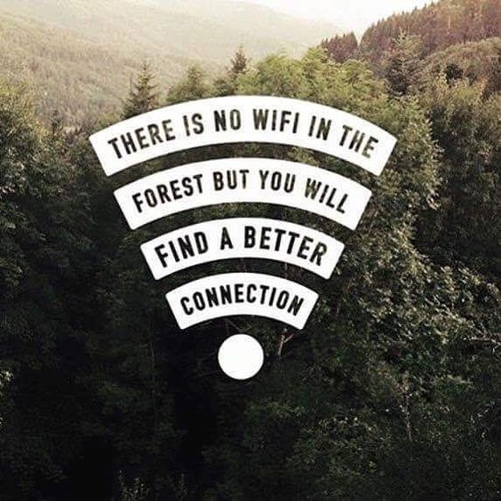 nature