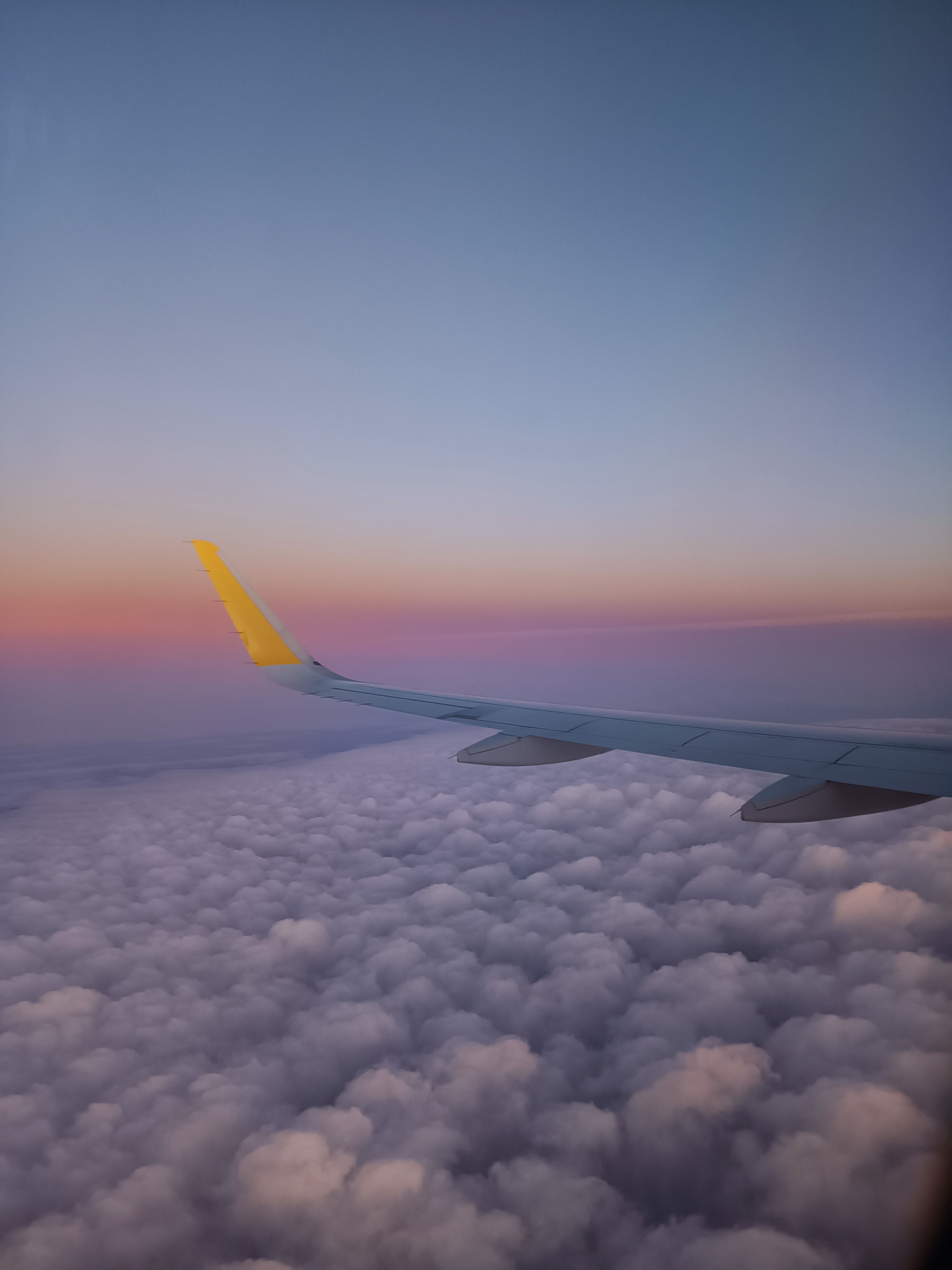 avion