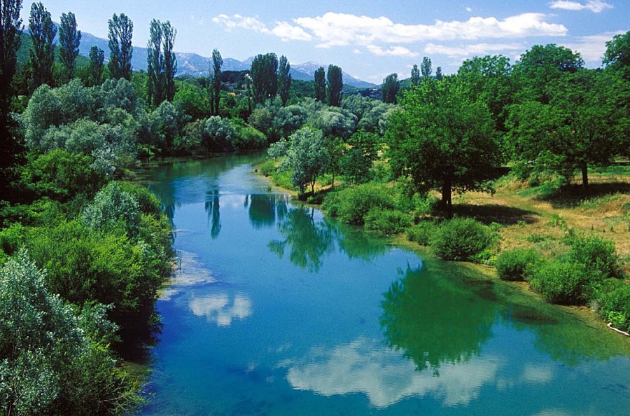 cetina