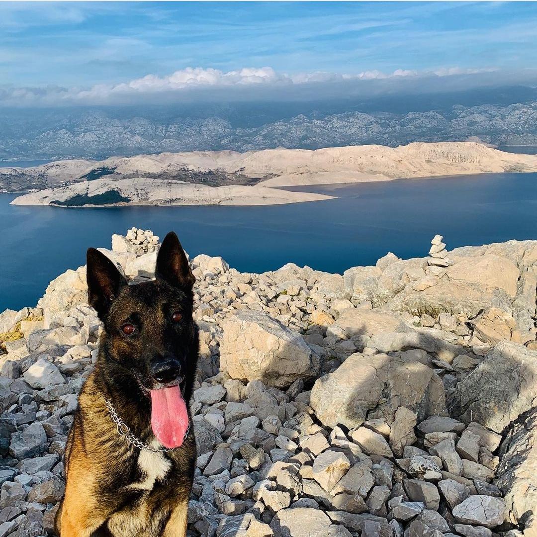 zak
