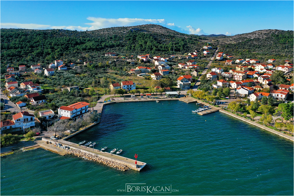 raslina